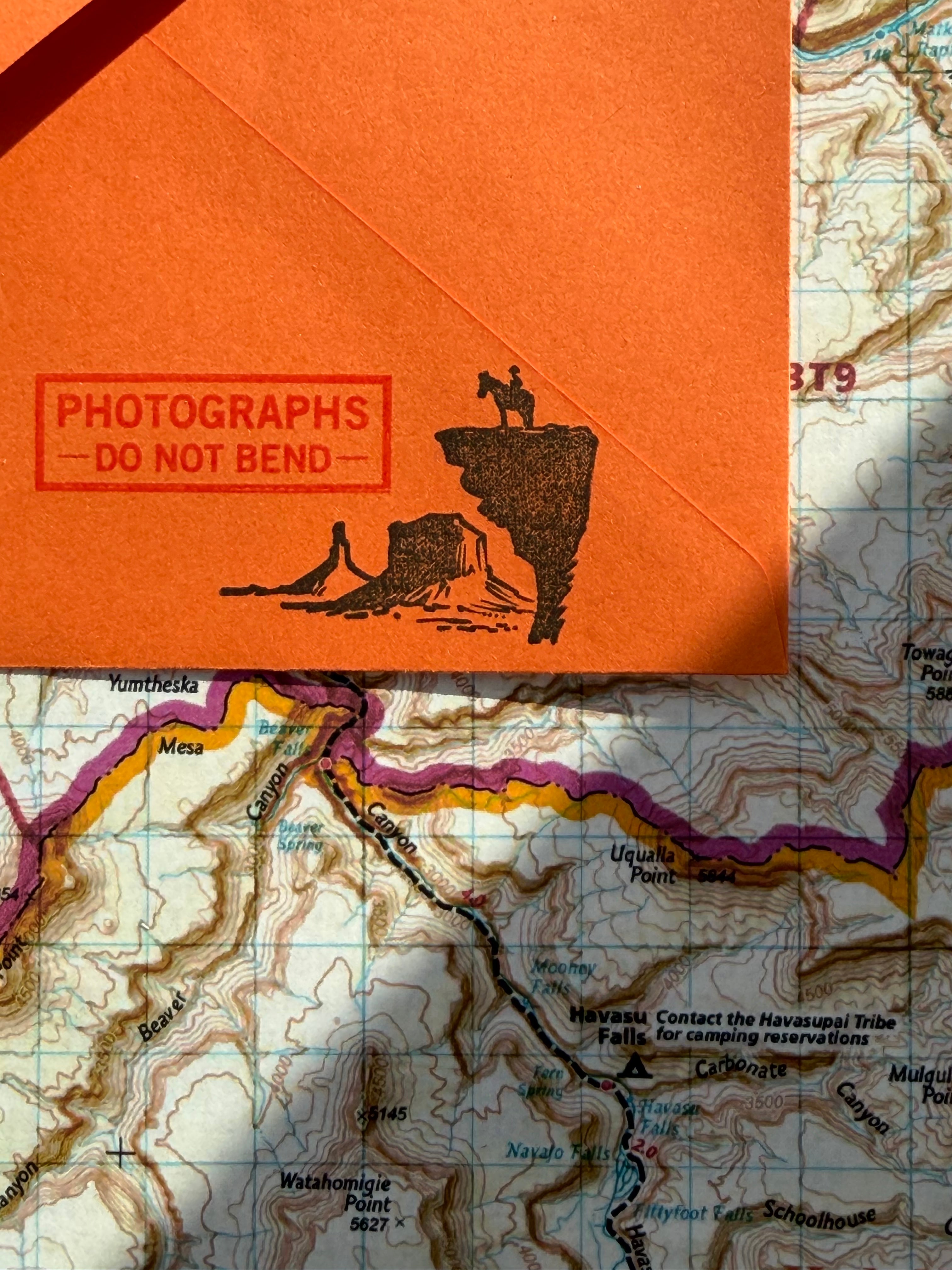 January 2026 - Archive Edition